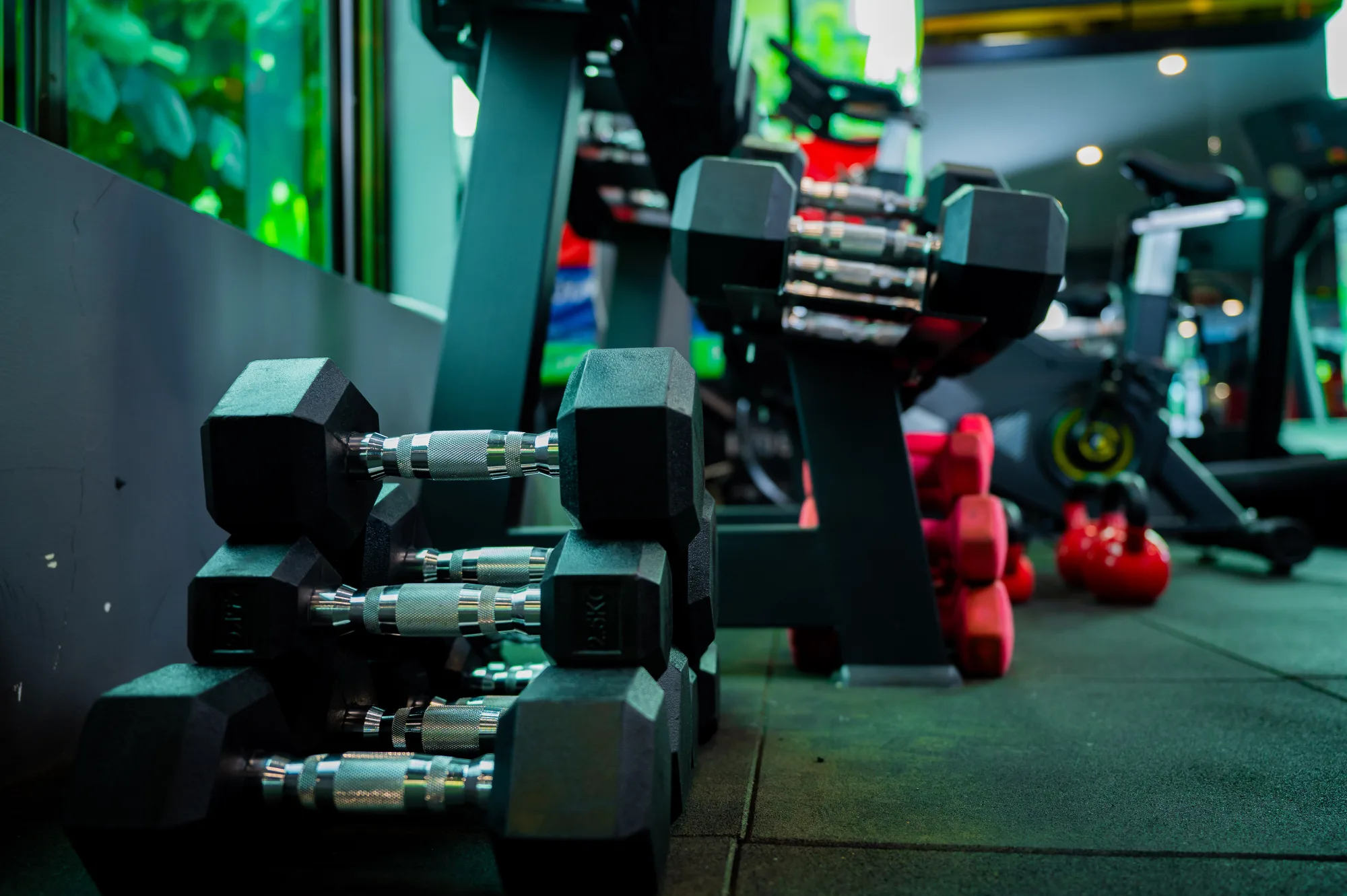 totalmente equipado y moderno