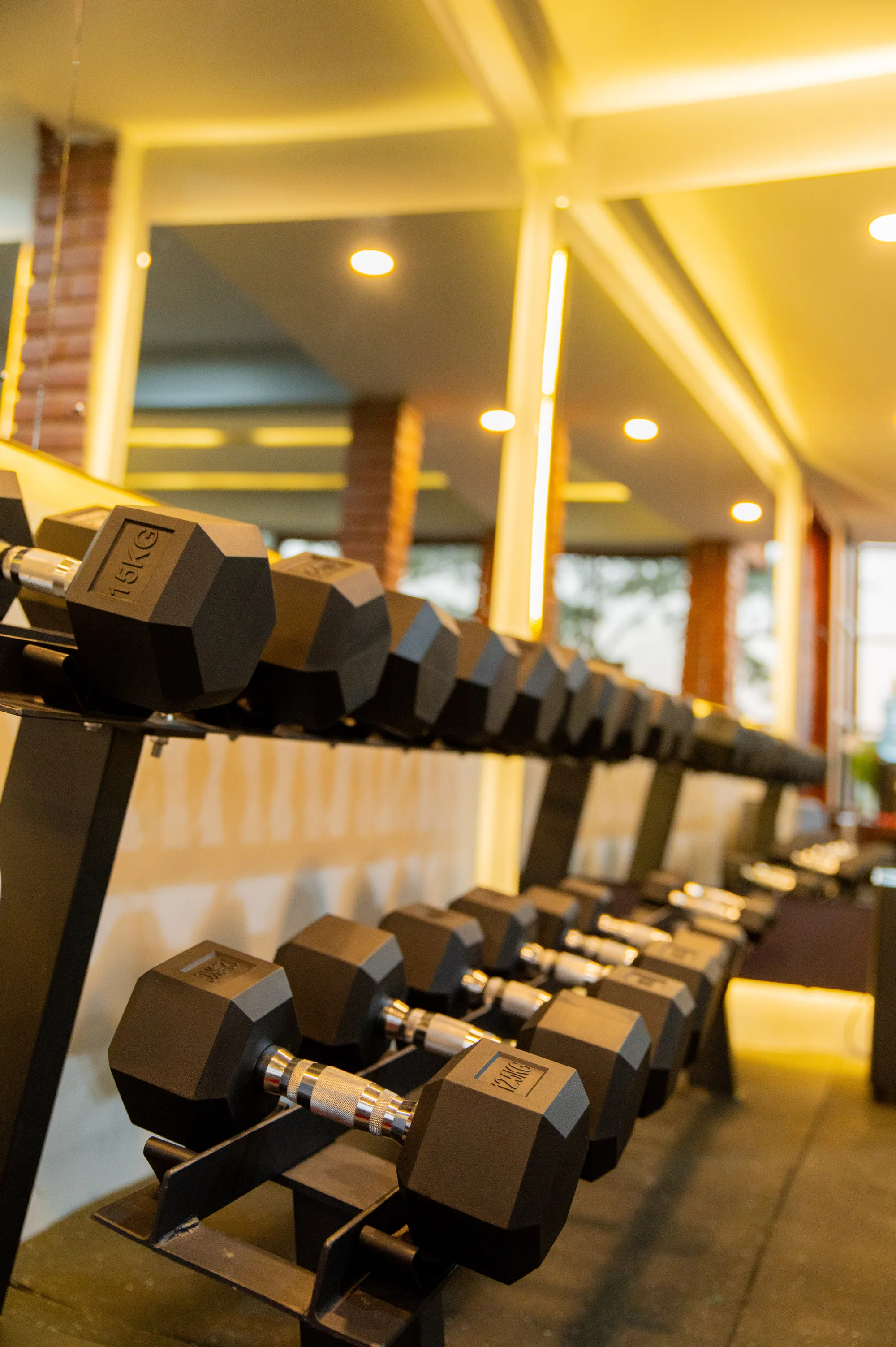 Wellness